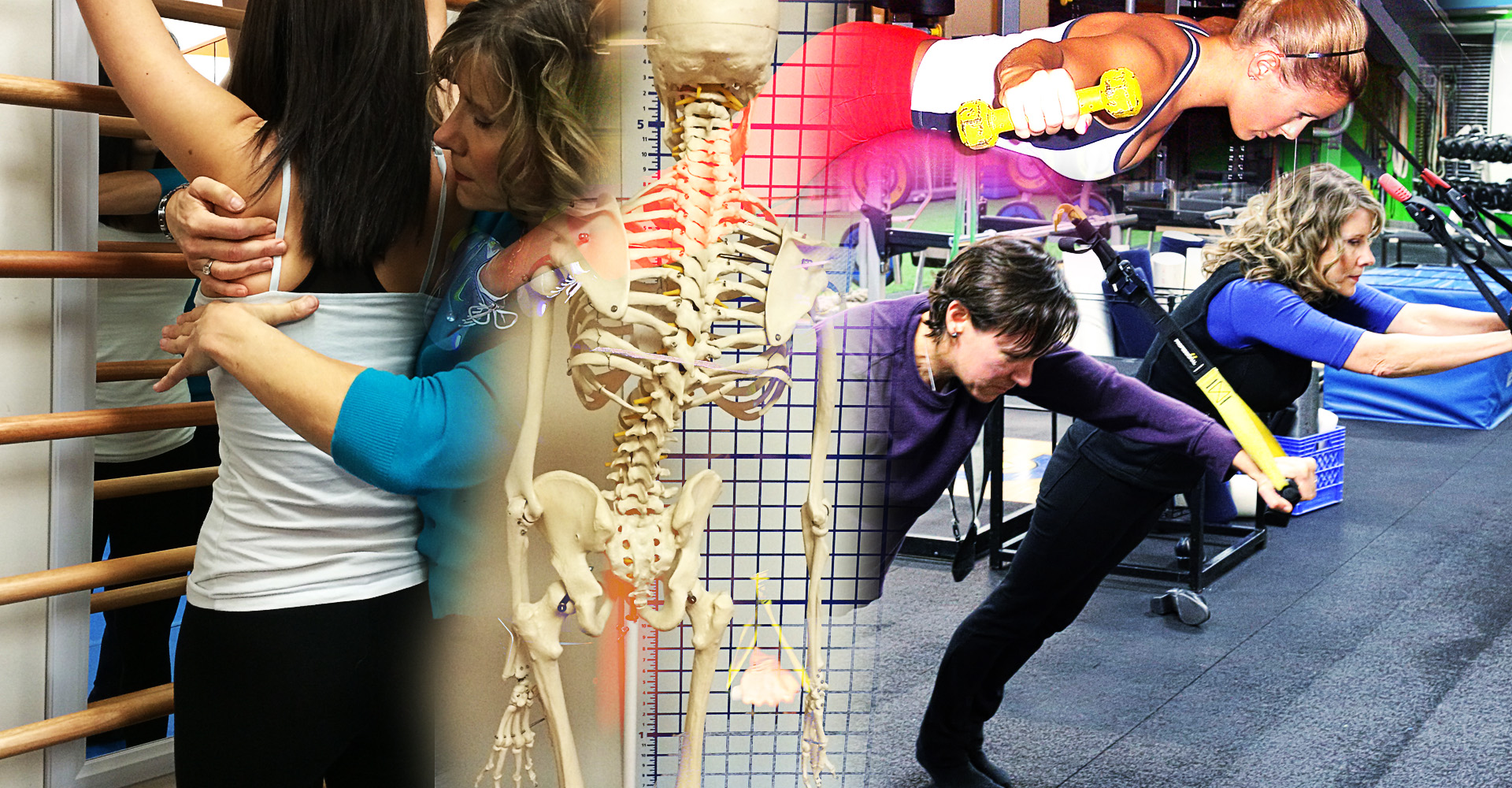 Integrated Physical Therapy
